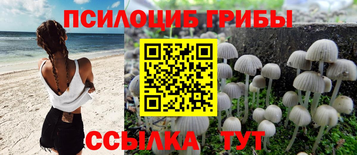 наркошоп  Чернушка  Галлюциногенные грибы ЛСД 