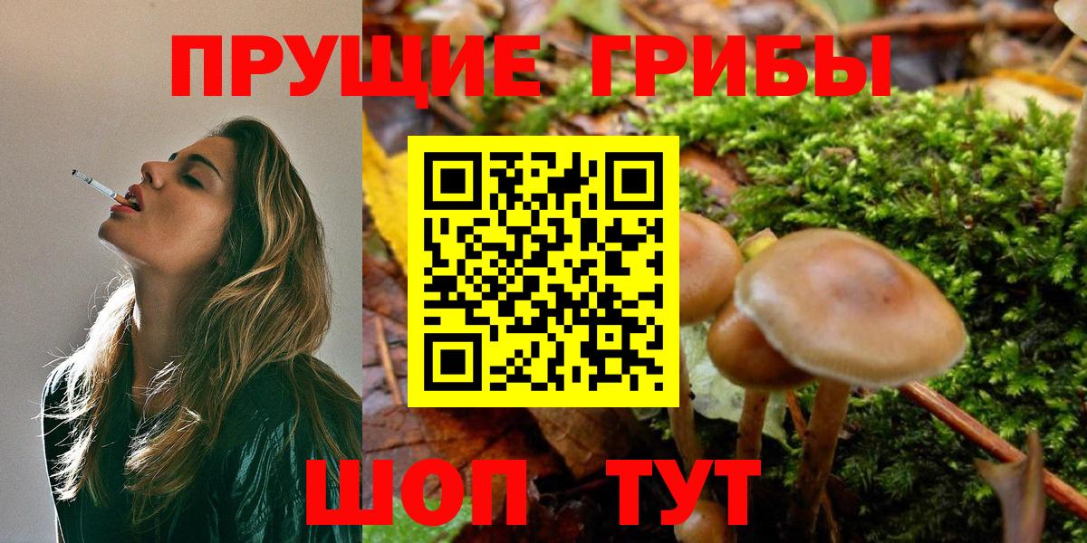 Галлюциногенные грибы прущие грибы Чернушка