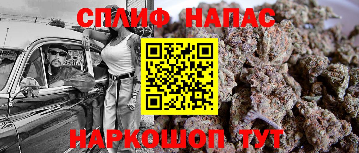 Бошки марихуана семена  Вход с VPN  Каннабис THC 21%  Каннабис планчик  Шишки марихуана MAZAR  Чернушка 